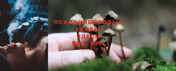 метадон Аркадак