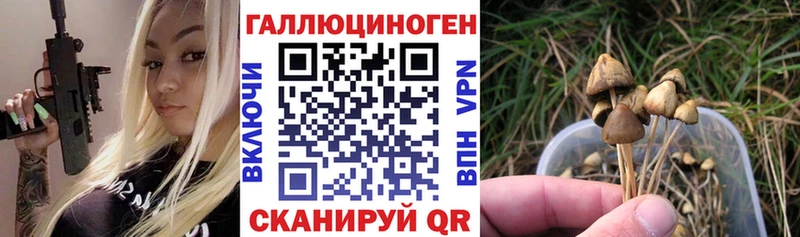 Галлюциногенные грибы мухоморы  наркота  Бирюч 