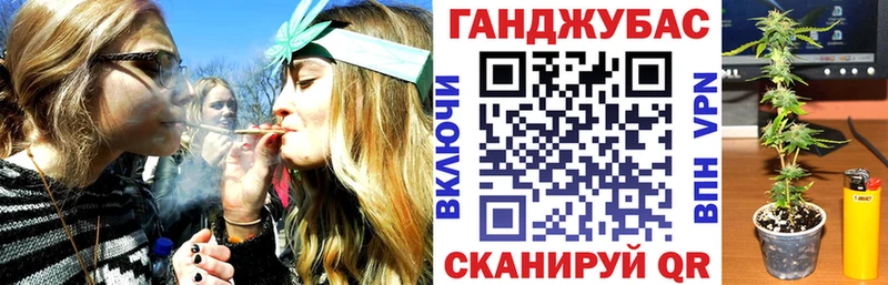 Конопля Bruce Banner  купить наркоту  Бирюч 